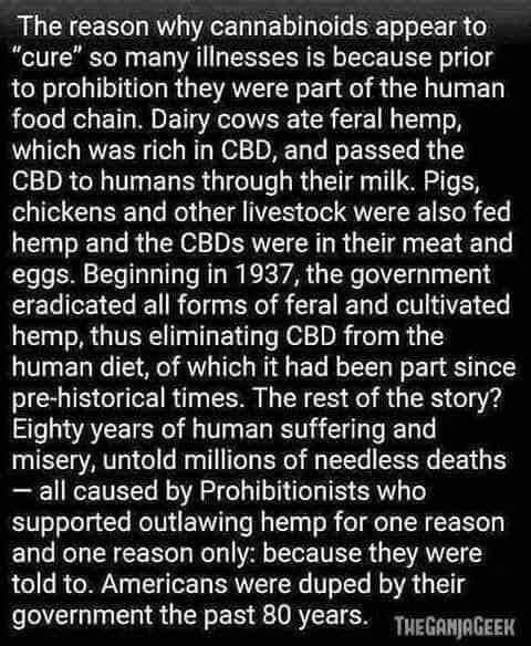 PNWcannabisclub's tweet photo. #potnotpills #spreadlove https://t.co/ptUzAoeVJ0
