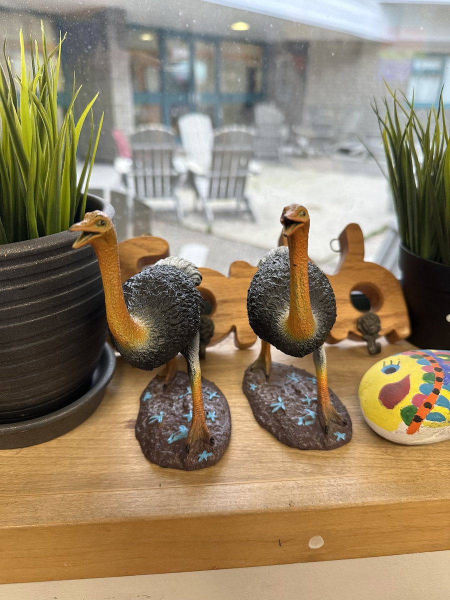 Scenes from the adventures this week. A Circle where we explore our best selves <a href="/KwaySD43/">Kwayhquitlum Middle</a>  and Ollie is reunited with their friend. Did you know a talking piece is used in Circle if it has meaning? Ollie the Ostrich holds a story about friendship and fun!
<a href="/sd43bc/">School District 43</a> <a href="/jodymoss43/">Jody Moss</a>