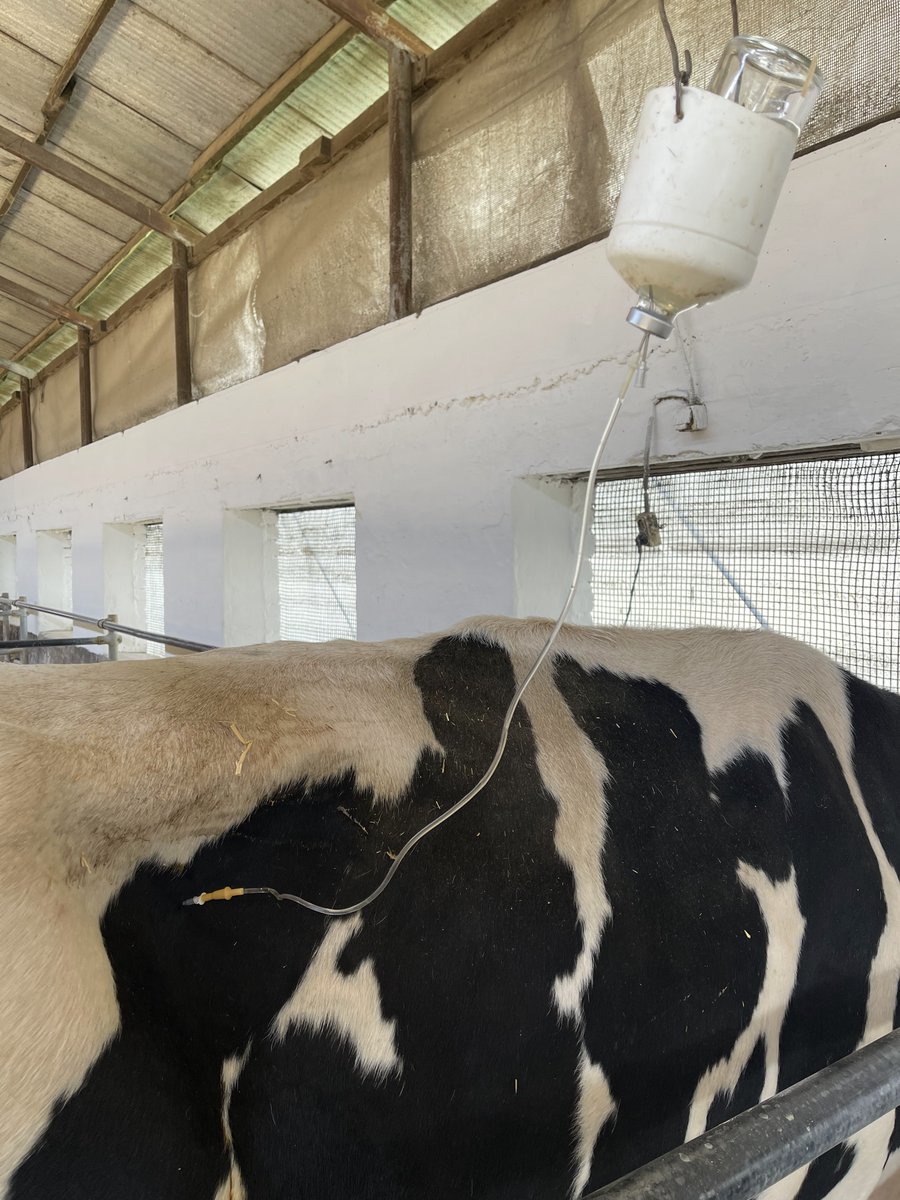 Ion Moraru 🇺🇦 tweet media