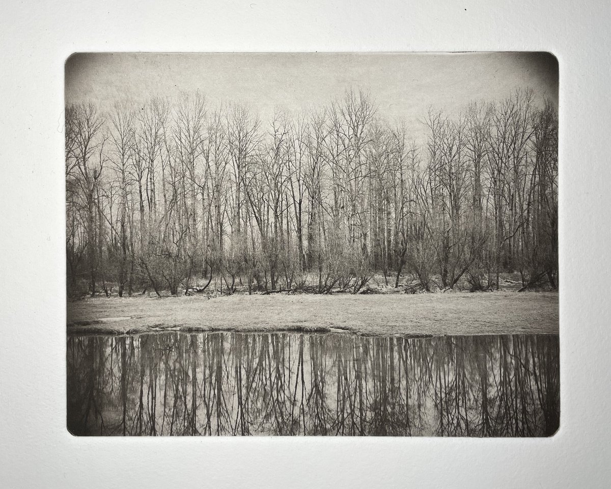 Winter Trees - Photogravure print
hand-pulled photogravure print is made with  55981 Black, Bistre, and sanguine inks on Hahnemühle copperplate paper. I printed an edition of 8 numbered prints and  3 A/P prints. 
Hand-pulled print by Ray Bidegain
Limited edition of 8