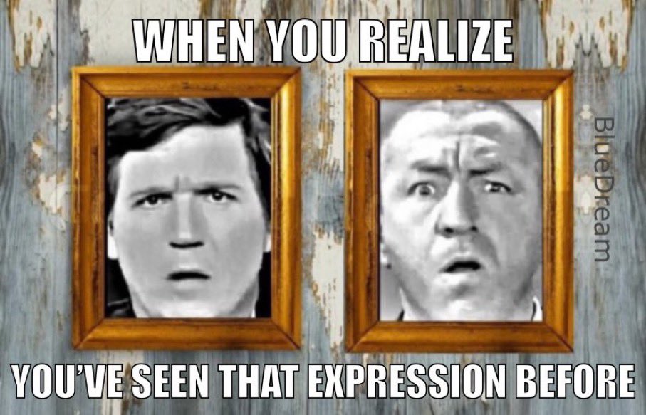 58bugeye's tweet photo. When I see Tucker Carlson’s face it looks familiar but a long time I couldn’t figure out why.

Now I know, he has EXACTLY the same expression as curly from the Three Stooges.

Anyone else see the similarity? https://t.co/sglT2VjEzl
