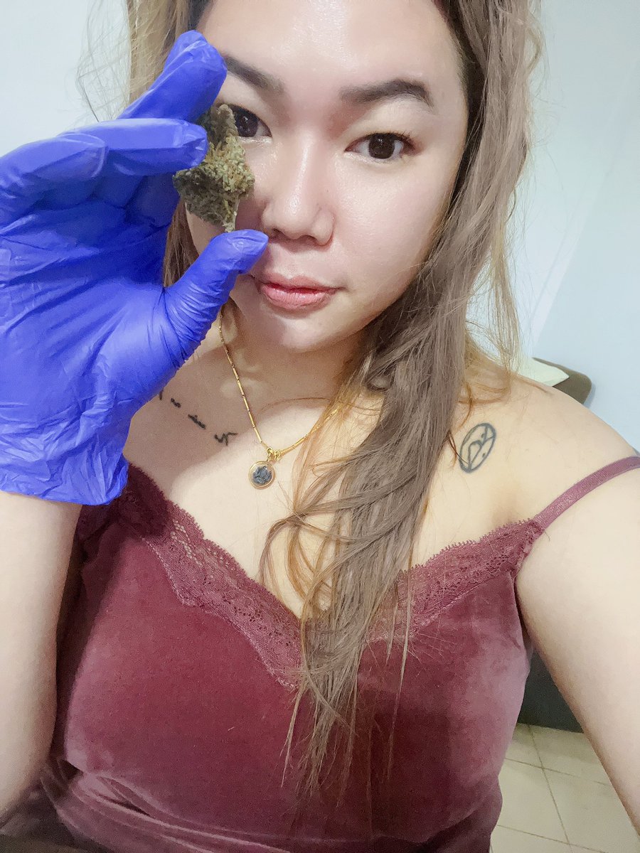 oommyown's tweet photo. สาวชาวไร่
#godfatherOG พร้อมส่งค่ะ 🚀
.
.
#bakedbkk #bakedbrother #bakedbangkok #คำที่เป็นสุข #weedgrower #สายเขียว #ขายกัญชา #กัญชาog #กัญชากรุงเทพ https://t.co/RfWAH3hmP6