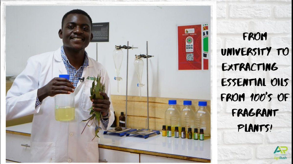 PrecisionUtmost's tweet photo. I wanted to be the first entrepreneur from my family! Here is how I ventured into manufacturing essential oils. https://t.co/jxmhKWL1EP