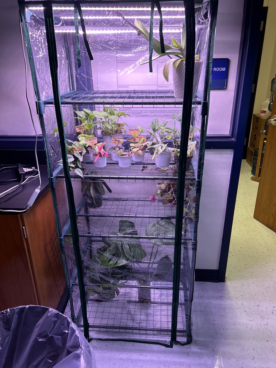HenyonChem's tweet photo. @aledoef 

My classroom received an “Adopt a Teacher” gift card! I purchased a greenhouse for my classroom! I’m amazed at how many students are enjoying it! Thank you to the AEF &amp; Aledo PTO! @AledoISD @AledoISDAdvAca @aledoef @AledoPto #growinggreatness https://t.co/HLwuPbW8PD