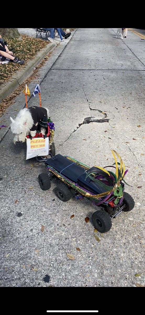 𝐌𝐞𝐧𝐝𝐢 𝐂𝐚𝐦𝐚𝐜𝐡𝐨 tweet media