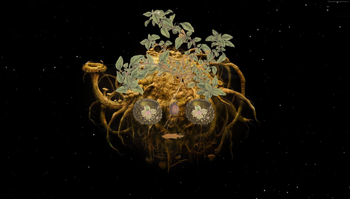 Botanica tweet media