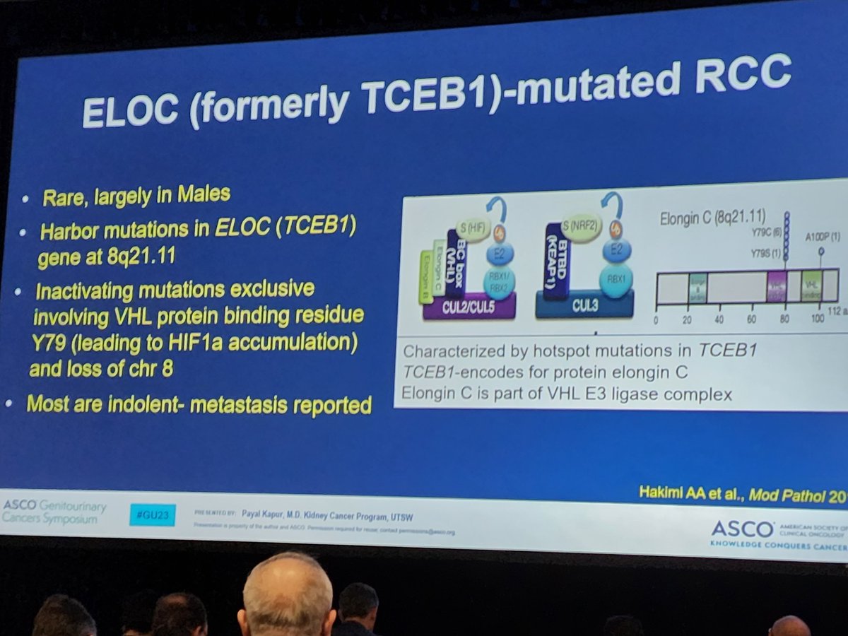 UTSW Pathology on Twitter: