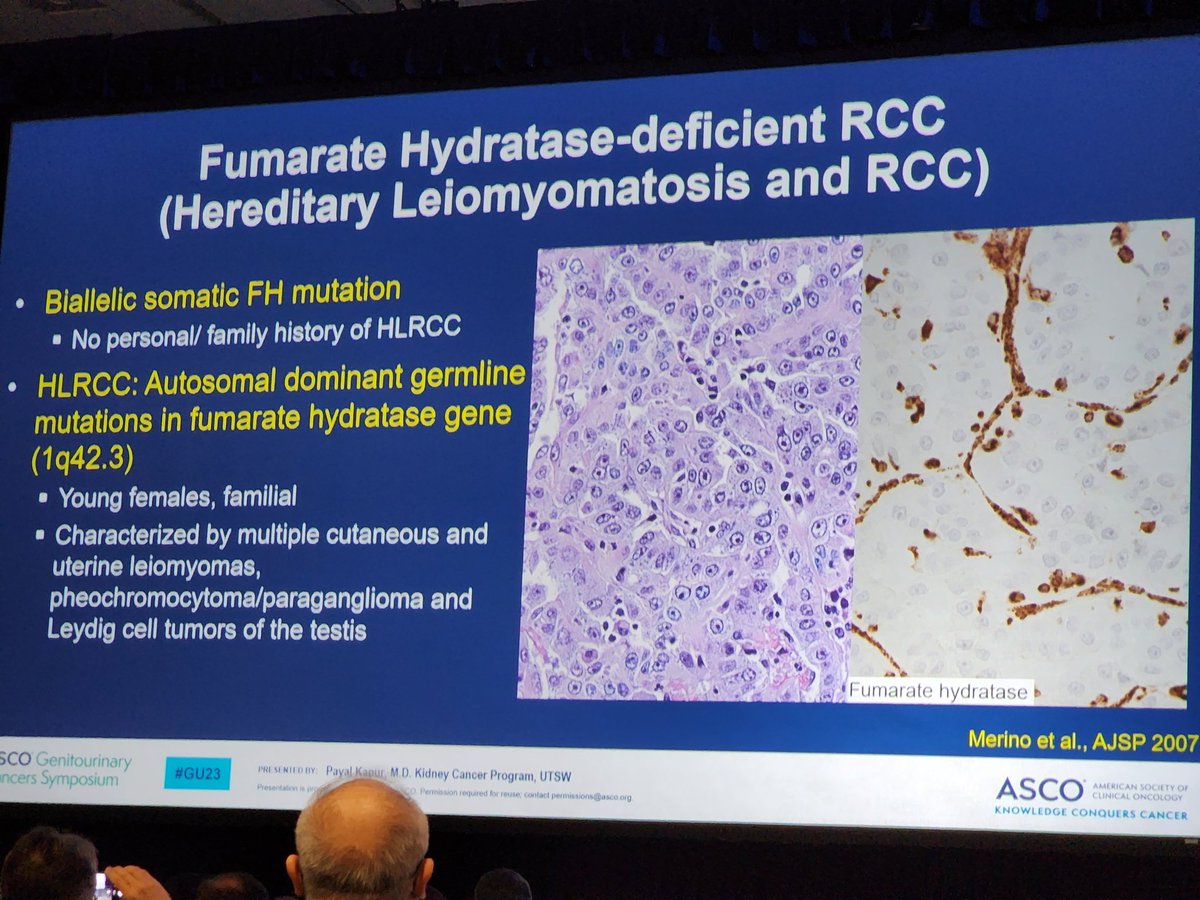 UTSW Pathology on Twitter: