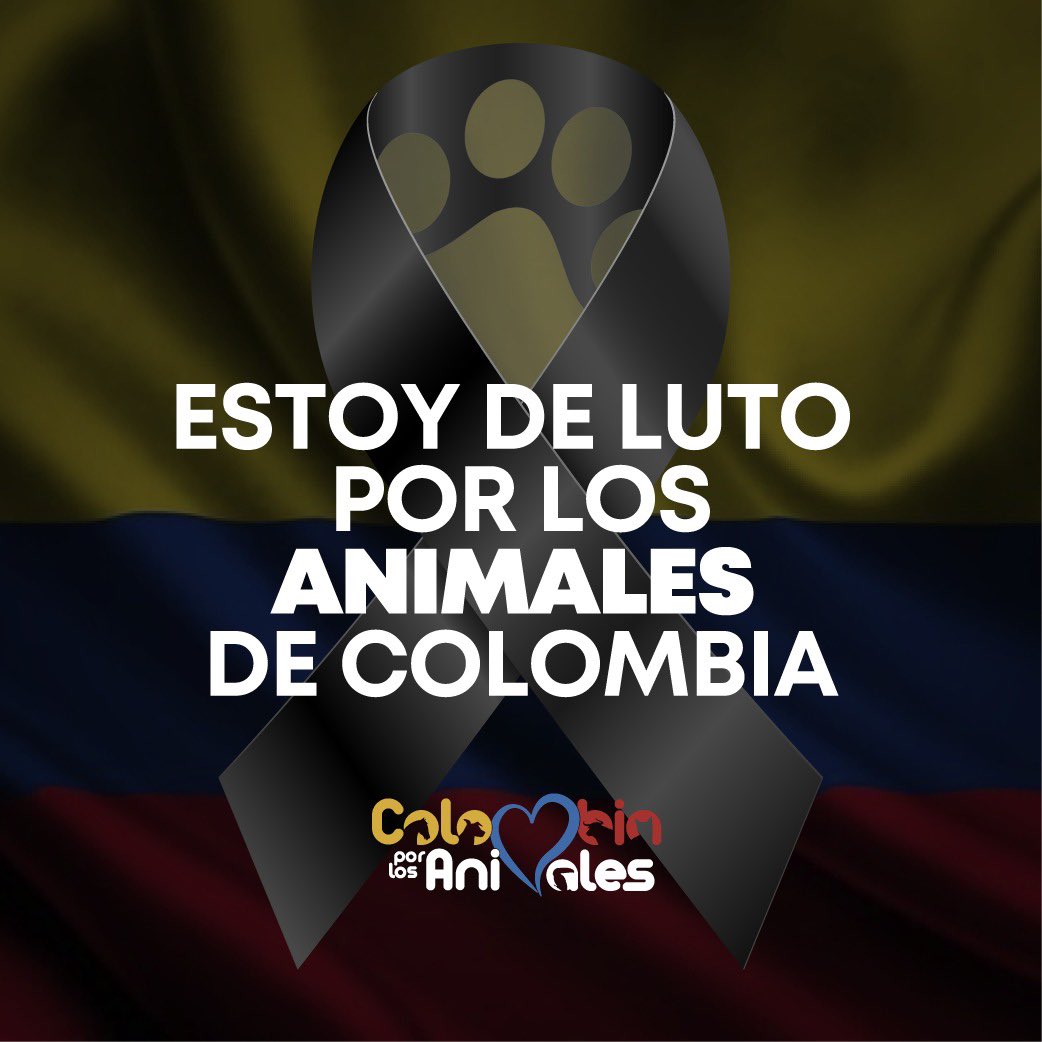 VetEdison's tweet photo. Da asco ver de lo que los humanos somos capaces y es increíble la frustración porque estoy seguro de que nada pasará… de que la justicia nunca llegará 😡

Seguiremos buscando sin descanso que ningún animal sufra, pero en días como estos se hace difícil mantener la esperanza… 😔 https://t.co/FpJrW6v2bp