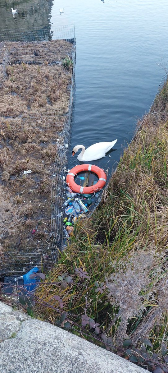 Hello <a href="/CWmasterplan/">Canada Water Masterplan</a> <a href="/BritishLandPLC/">British Land PLC</a> - Being that you now own Canada Water Dock, can you please keep it tidy and free of Rubbish on a daily basis. #Rotherhithe #SE16