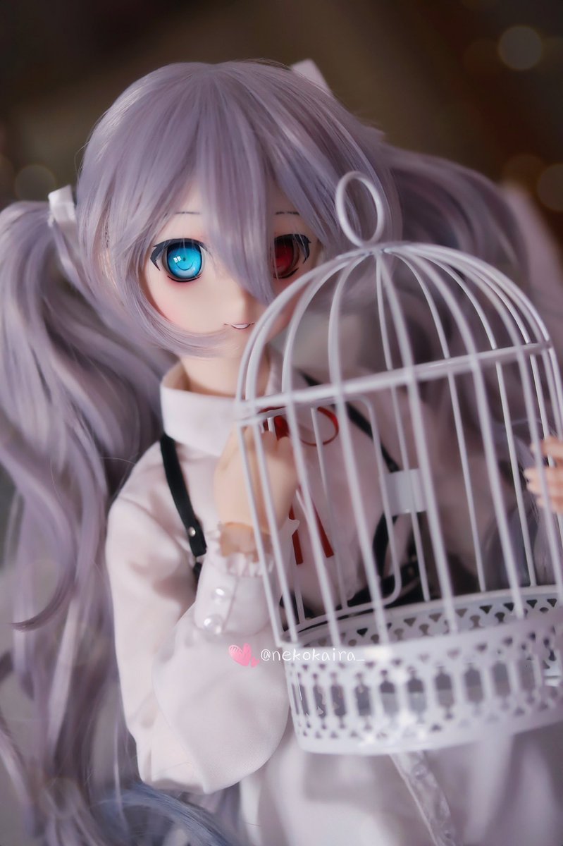 ChirouChan's tweet photo. [ ᶜᵃᵍᵉˢ ᵃʳᵉⁿ‘ᵗ ᵐᵃᵈᵉ ᵒᶠ ⁱʳᵒⁿ … ᵗʰᵉʸ ᵃʳᵉ ᵐᵃᵈᵉ ᵒᶠ ᵗʰᵒᵘᵍʰᵗˢ … ]
#dollfiedream #HatsuneMiku #emptysekai Doll belongs @KiaishiNoKure https://t.co/TJD0IaAuM8