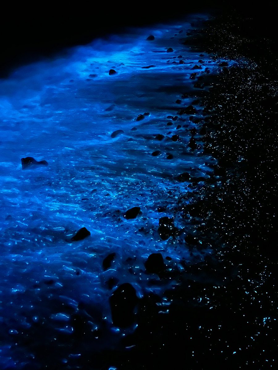 Reethikamun hama ajaibu vejje, Masha Allah.
(Th.Guraidhoo)