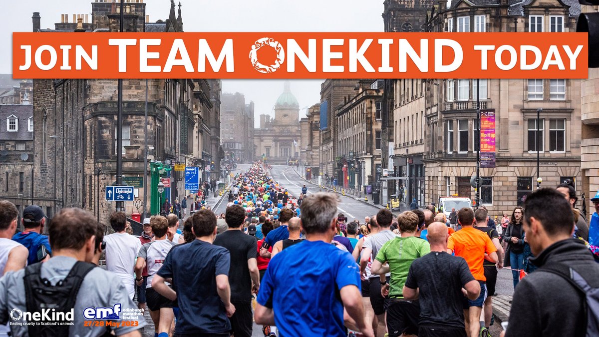 onekindtweet's tweet photo. The Edinburgh Marathon Festival  is back! 

Join Team OneKind today and run for animals! There's something for everyone, whether you're a novice or a long-time marathon runner 🏃‍♂️.

🔗https://t.co/JFHmQgmAsc

@MrHairyHaggis  #EMF2023 #Marathon #Running #Runner #RunForAnimals https://t.co/gZGuquicZs