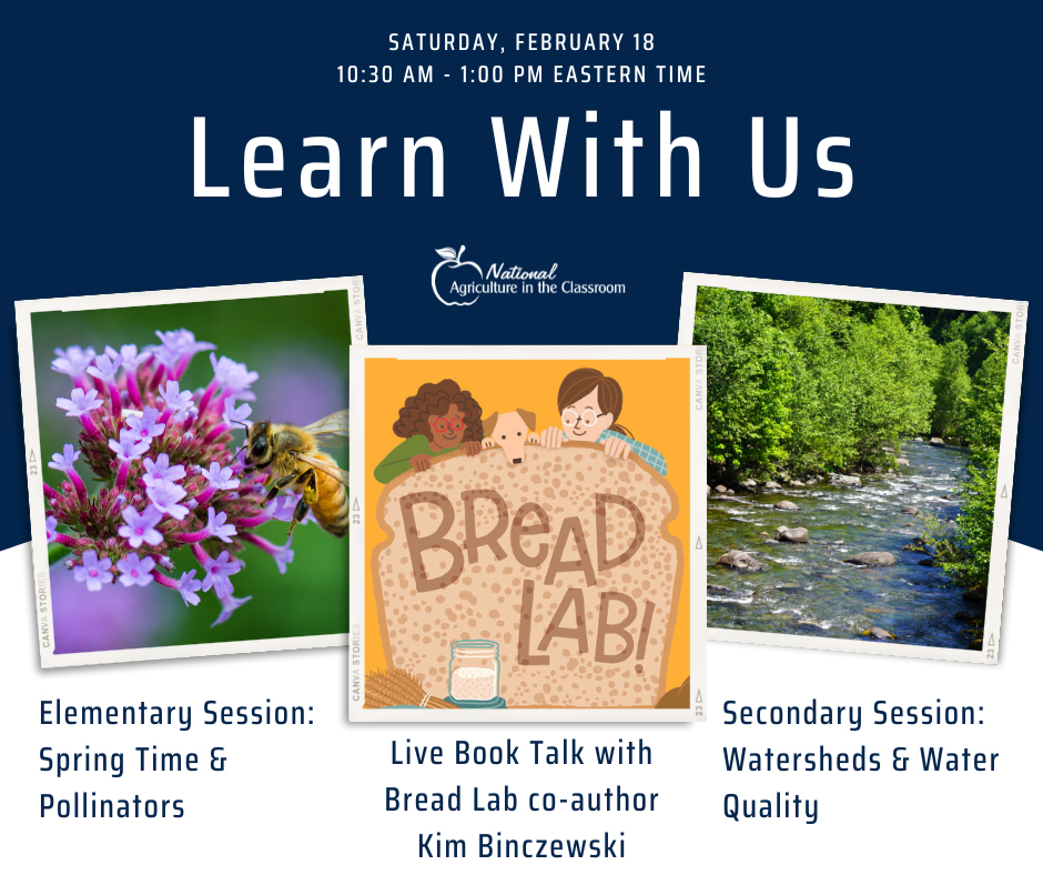 ReadersToEaters's tweet image. Thnx2 @AITCtweets 4inviting #Breadlab coauthor/ #WSUBreadlab's KimBinczewski &amp;amp; @ReadersToEaters 2prsnt@ winter conf bit.ly/3XJeftM See CurriculumMatrix  bit.ly/3ncHwed  WSUBreadlab info bit.ly/41igtnc &amp;amp; #ApproachableLoaf project bit.ly/3Aj5tsy