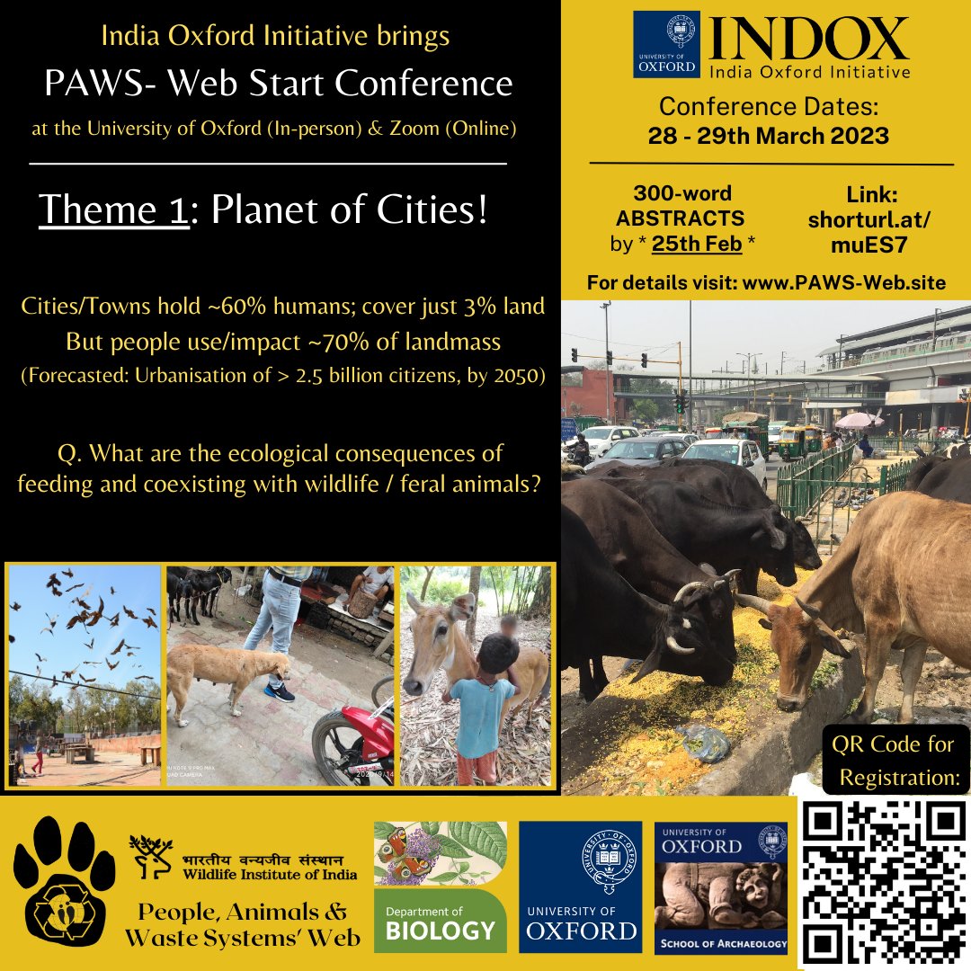 Nishant Kumar tweet media