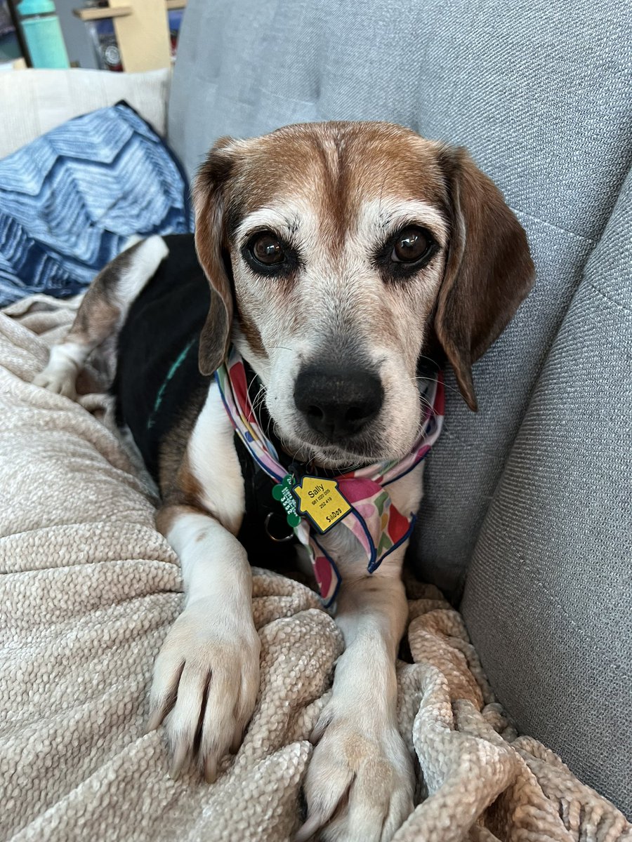 Jennifer Cabe tweet media