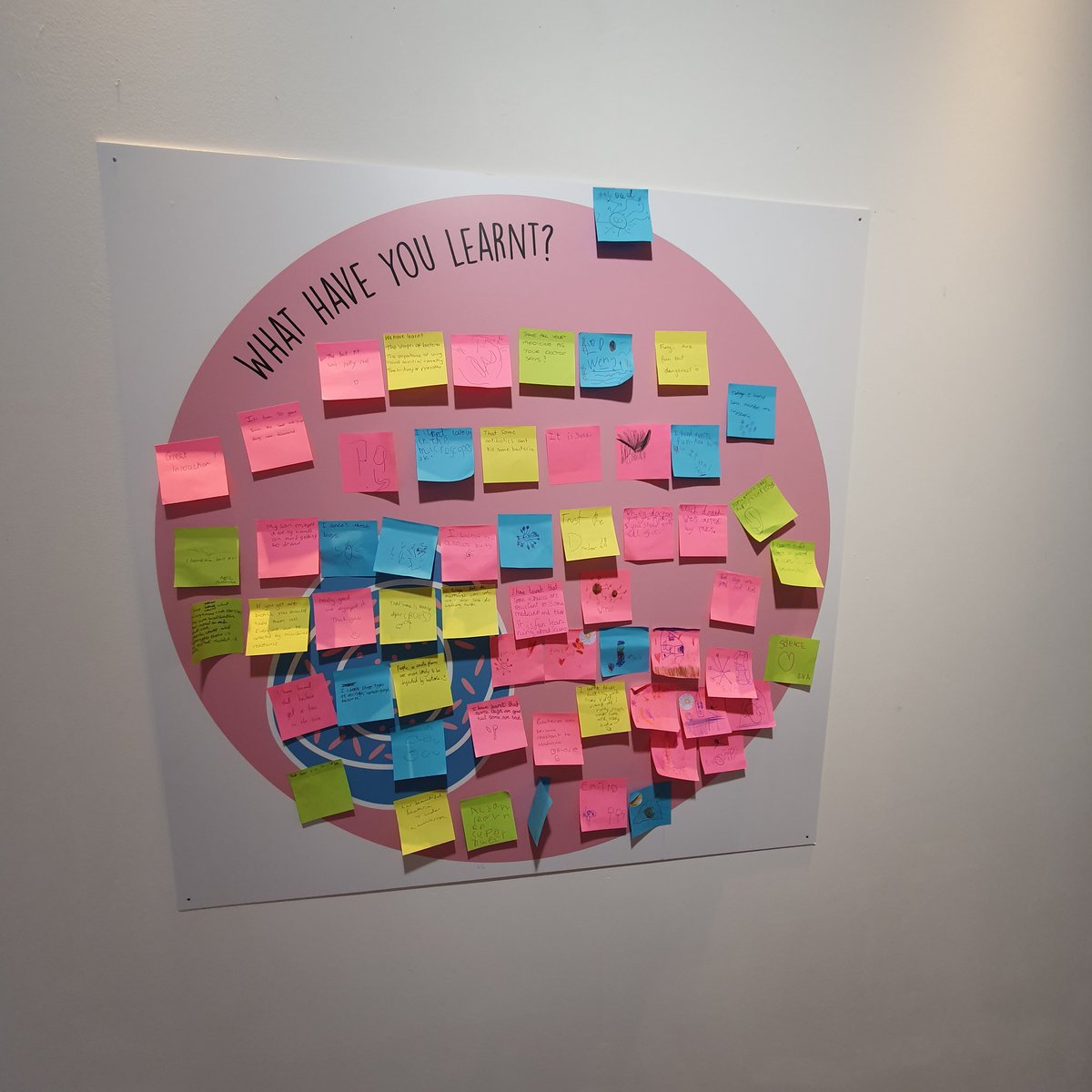 SuperbugsExeter's tweet photo. Amazing first day with over 450 people through the door! 

A wall of things our visitors have learnt today! And it seems the ball pool - fighting resistance - was a hit! 

@maketankexeter 
@UniofExeter
#AMR

Join us again tomorrow from
10am -4pm!

We cant wait to see you! https://t.co/IdThCfRr5l
