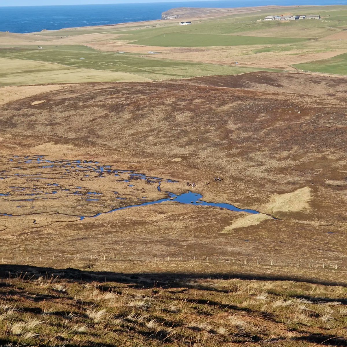 stromnessdofe's tweet photo. Not a bad day for dusting off the navigation skills #orkney #dofeleaders #stromnessacademy #KGS #itsalwayslikethisinOrkney https://t.co/atc6o4uZ2F