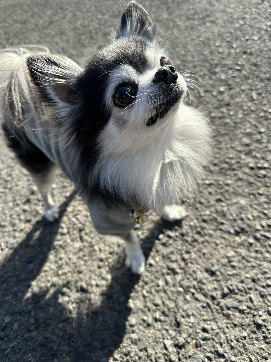 ジャック◡̈⃝ るん tweet media