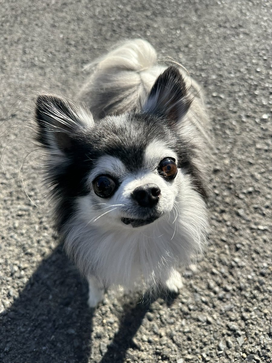 ジャック◡̈⃝ るん tweet media