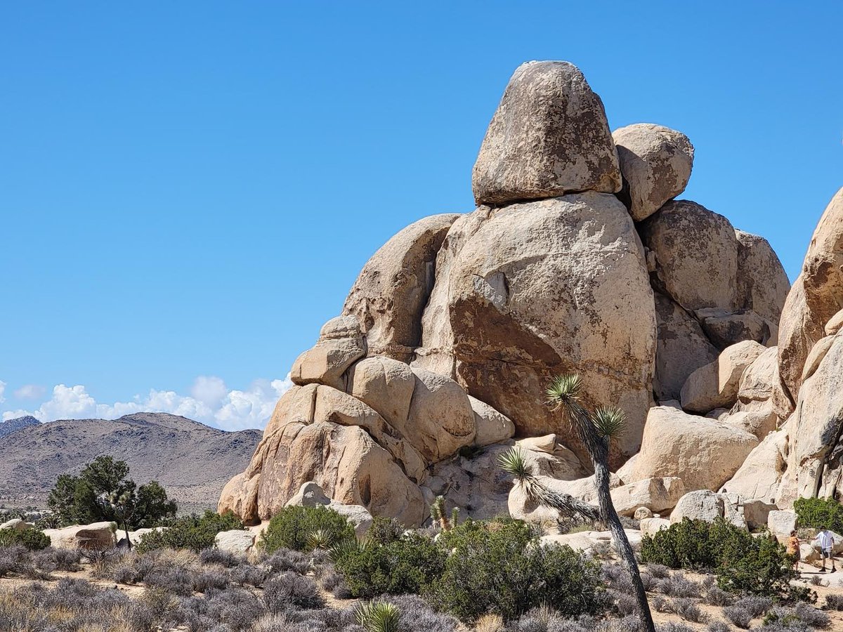 Meats Meier tweet media