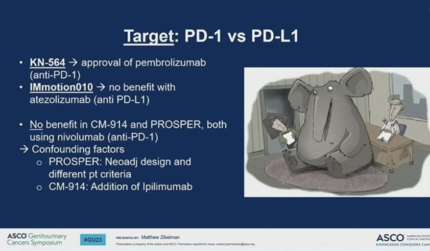 DrKarineTawagi's tweet photo. Very high yield overview of adjuvant IO in #RCC by @MattZibelman:
❓diff btwn PD1 or PDL1? KN564 pembro (only FDA approved)
🛑 no benefit in IMmotion010 (PDL1 atezo), CM-914 (ipi/nivo) and PROSPER (periop nivo)
➡️ What matters to clinicians/pts? OS, prioritize most at risk
#GU23 https://t.co/kXH5B0OvR3