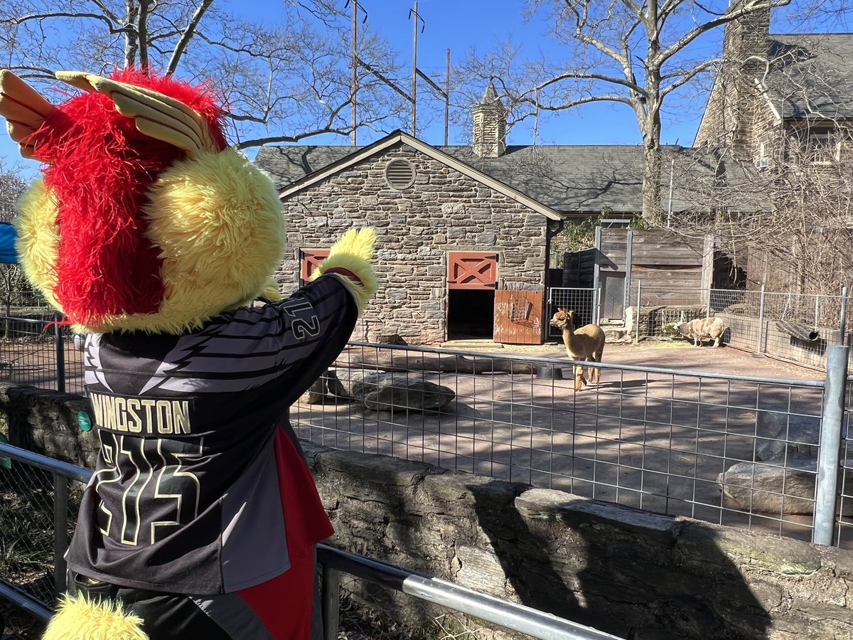 WingstonNLL's tweet photo. Made some new friends today at the Philadelphia Zoo! #WingsLax https://t.co/ULf7xhJVjA