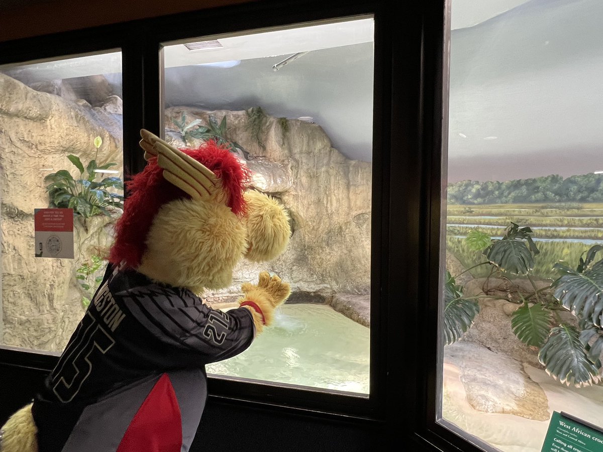 WingstonNLL's tweet photo. Made some new friends today at the Philadelphia Zoo! #WingsLax https://t.co/ULf7xhJVjA