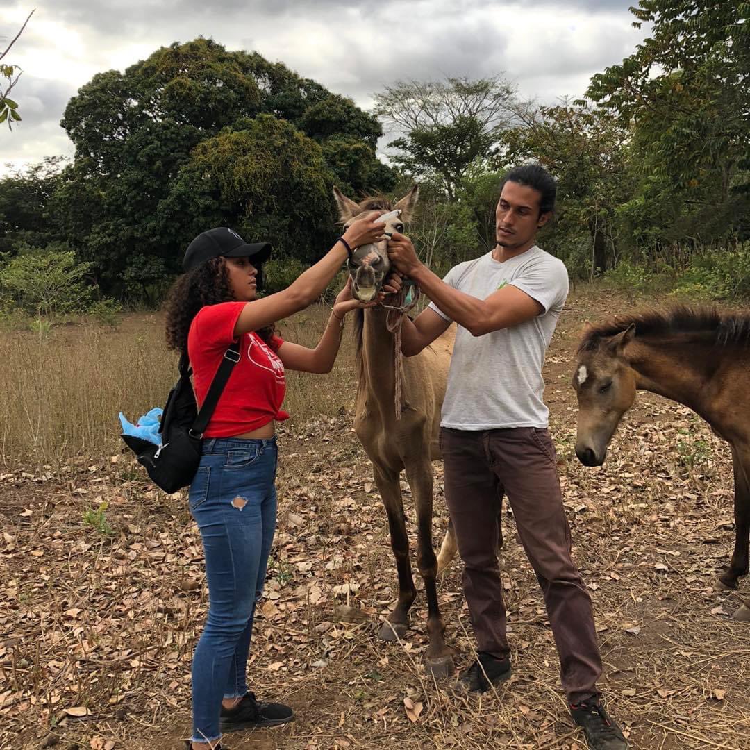 MiradorGalan's tweet photo. Recibimos la visita de los estudiantes en veterinaria de Aprolap, quienes nos apoyan con análisis de heces y desparasitacion de la manada del Refugio. https://t.co/byveTE1NSe