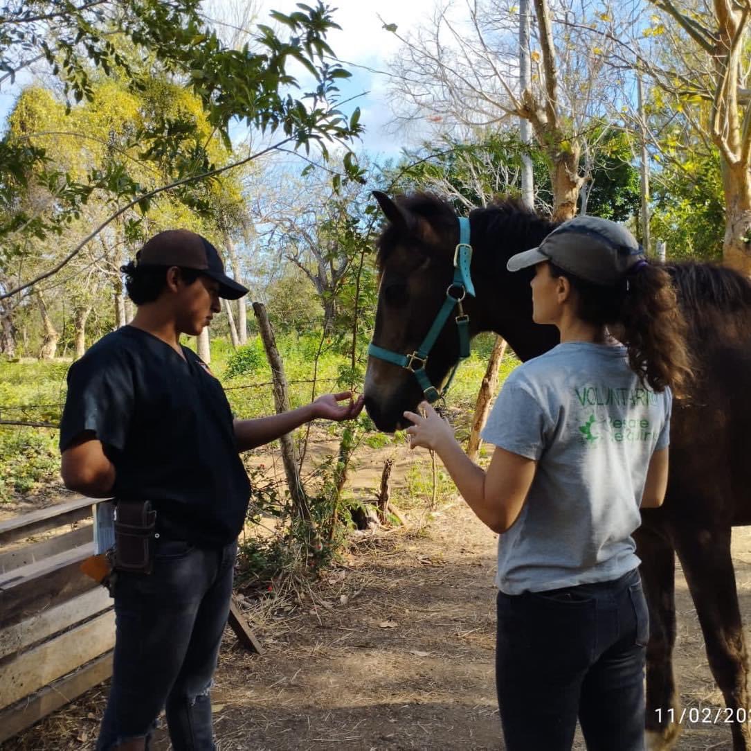 MiradorGalan's tweet photo. Recibimos la visita de los estudiantes en veterinaria de Aprolap, quienes nos apoyan con análisis de heces y desparasitacion de la manada del Refugio. https://t.co/byveTE1NSe