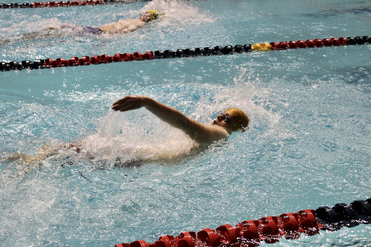 PHS and BGHS Swim Teams tweet media