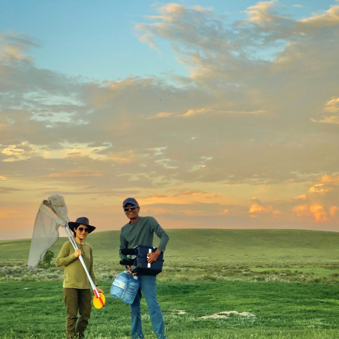 CWF_FCF's tweet photo. Grazing cattle, insects and birds… how do they intersect? A study aims to find out, so that grazing practices can be improved. Read more: https://t.co/d0Ra0kDiGy
📸: Our insect collection team from Carleton University and AAFC ©Behnam Motamedinia
#LearnWithCWF https://t.co/Sf4N8J0CyV