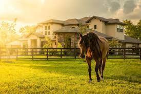 Take a look at our Newly-Planned Equestrian Community Here in Costa Rica. .
All Investor Levels Available. .
Contact Us Today at costaricagoodnews@gmail.com
#equestrianlife #equestrianstyle #equestrianlifestyle #equestriancommunity #costaricaequestriancommunity