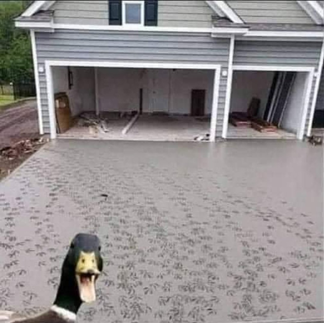 StangSalsa's tweet image. I'd keep it....