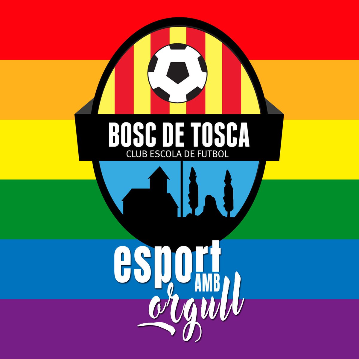 cefboscdetosca's tweet photo. Aquest diumenge se celebra el Dia Internacional contra la LGTBIfòbia a l'esport

Des del CEF Bosc de Tosca desitgem que aquest tipus d'actituds despareixin de l'esport i en la societat en general

#BdT1978 #futbolcat https://t.co/fhMb2eM7bQ