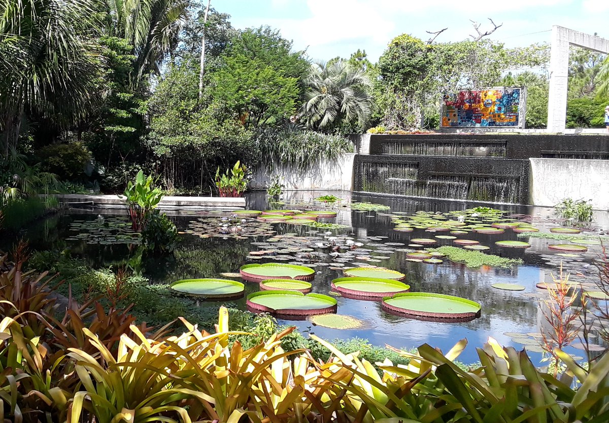 Info4ANI's tweet image. #SensoryFriendly Saturday for February @NaplesBotanical is today! This is a wonderful time for individuals with #additionalneeds, their family and friends to enjoy the Garden with minimized disturbances. This is a FREE event &amp;amp; to learn more click here naplesgarden.org/calendar/senso…