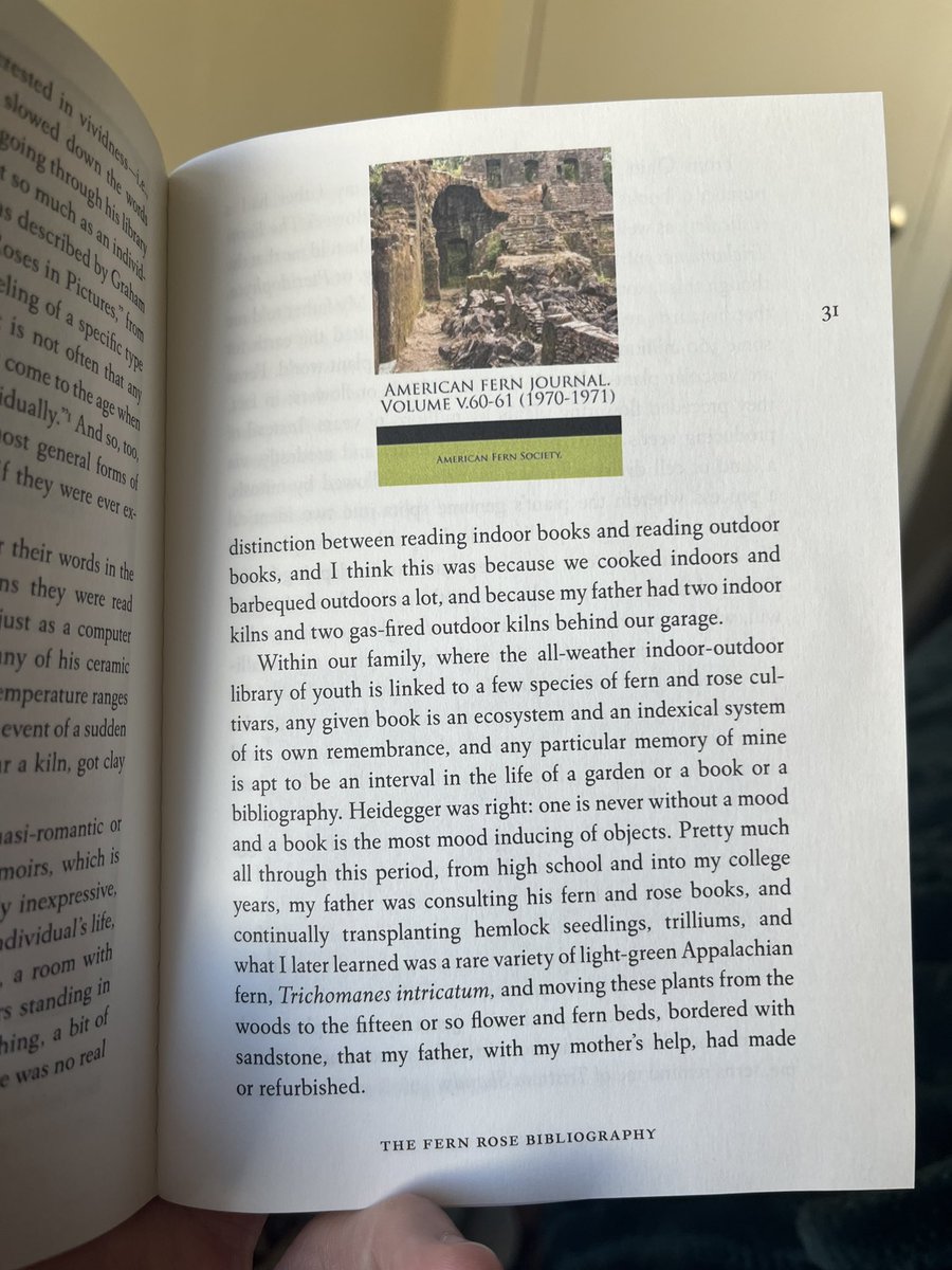 sebastian castillo tweet media