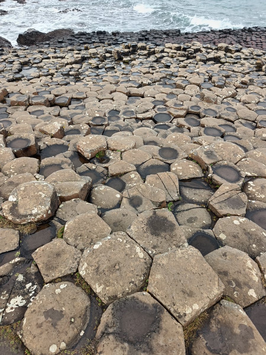 Matthew Naylor tweet media