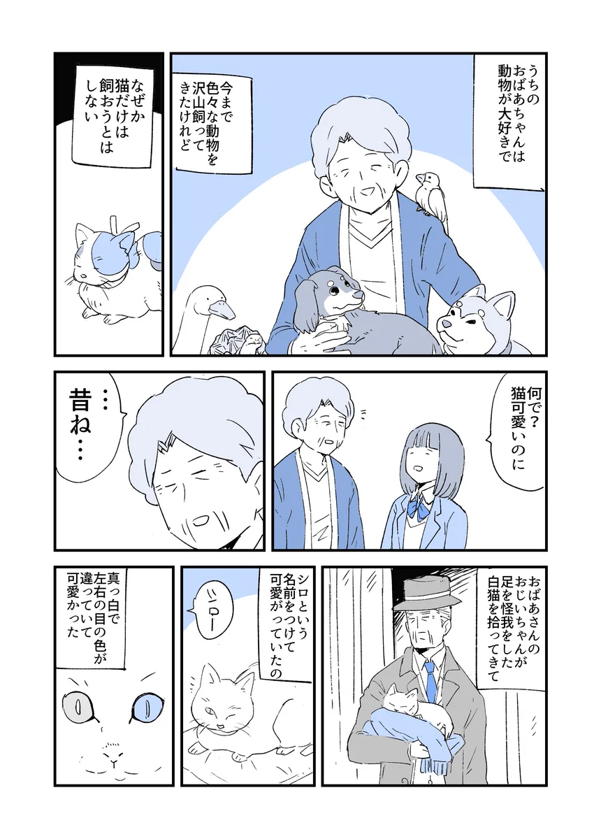 動物好きのおばあちゃんが猫だけは飼おうとしない理由は･･･！猫にまつわる不思議なお話を描いた漫画が話題に！