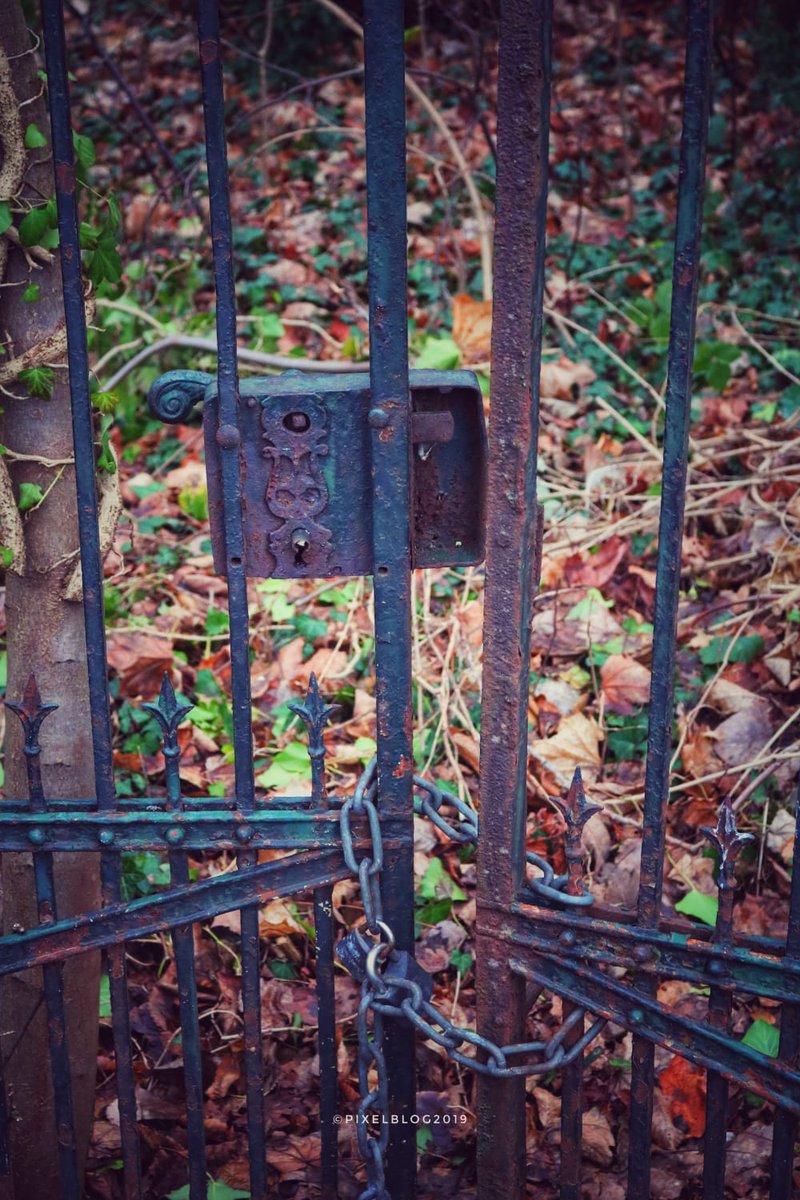 pixelblog2019's tweet photo. Secrets.....

#secret #secrets #geheim #geheimnisse #olddoor #altetür #behindthedoor #old #rost #rust #outdoor #outdoorshooting #outdoorphotography #outdoorarchitecture #steinalt #architektur #art #architecture #nature #nature #naturephotography #canon #canonphotography #hobby https://t.co/LfTUrZmxik