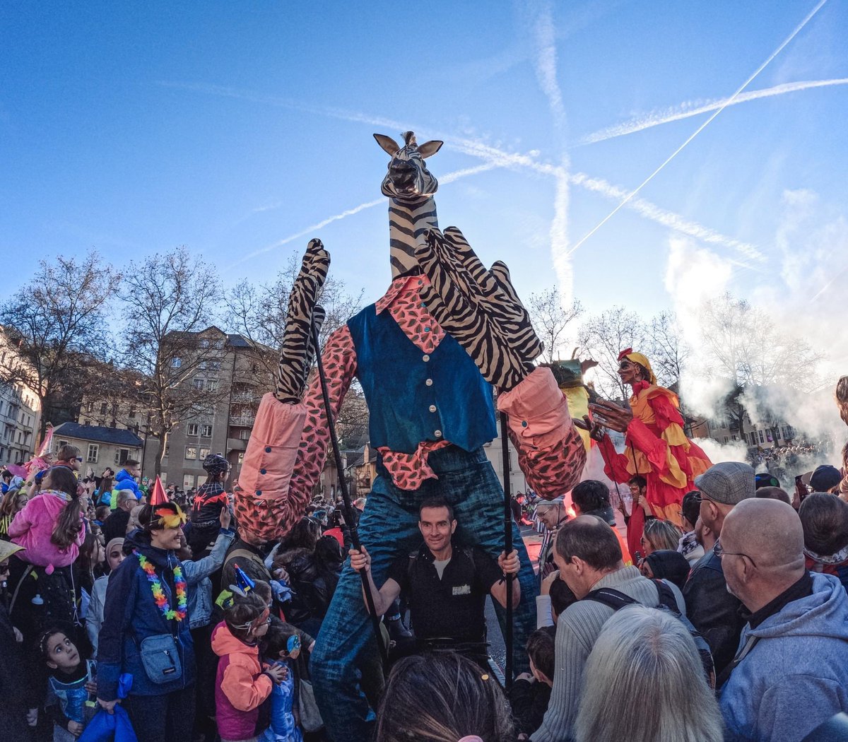 🦁 Carnaval des animaux 🐰: retour en images sur cette très belle 32ème édition du #Carnaval de #Chambéry ☺️