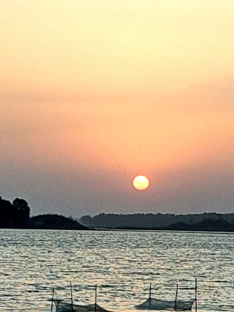 sandeep70045's tweet photo. Nature is the best medium to heal your mind https://t.co/d4JRY9DQpP
