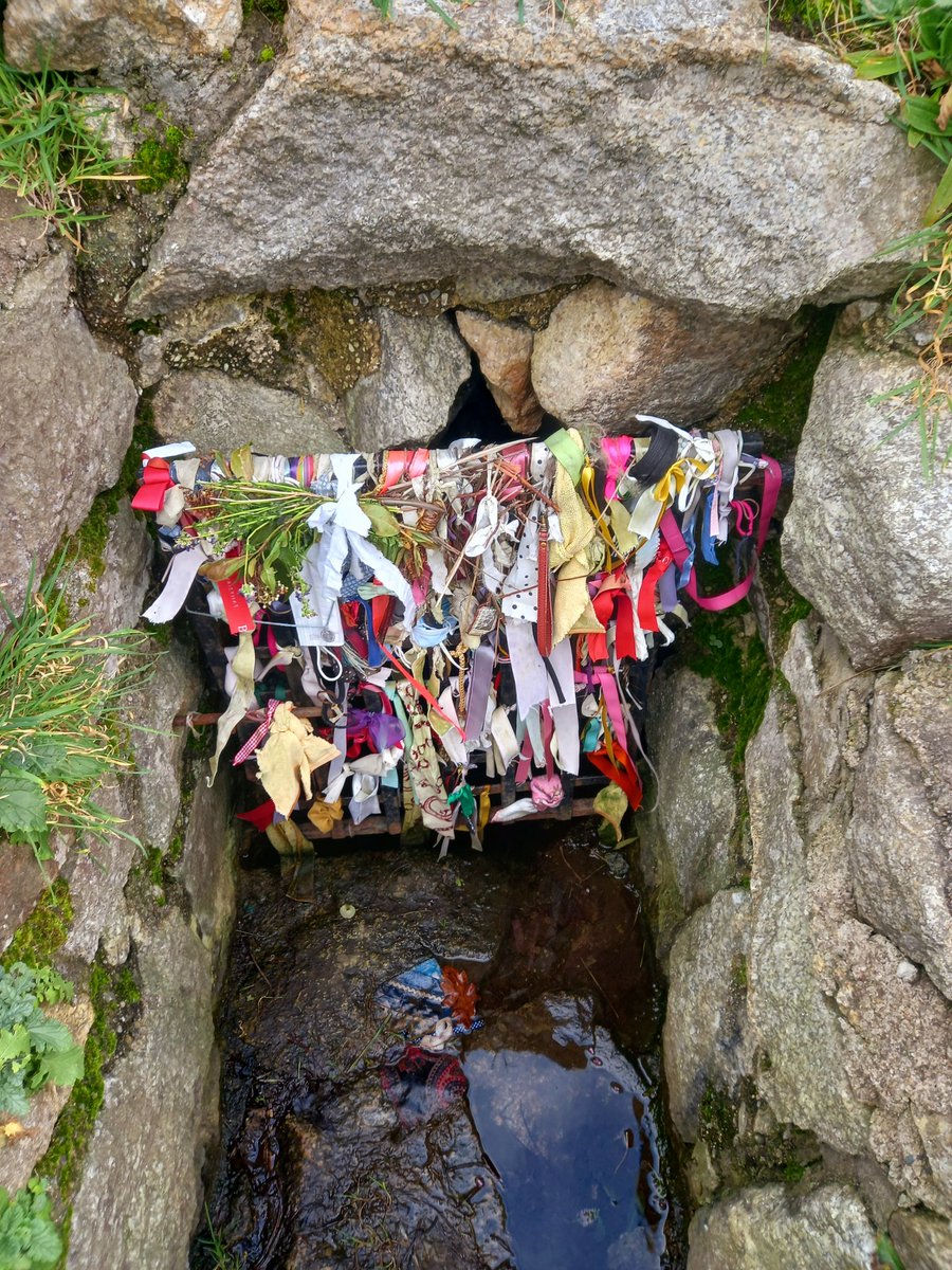 Walk around Marley Park this morning.. loving the crocuses 🌷 Then a stroll around Dillons Park Dalkey. Love it there its so peaceful by the sea 🌊 looking over at the island and stopped by the ancient well to whisper a little prayer 🙏 #100daysofwalking <a href="/NewstalkFM/">NewstalkFM</a> <a href="/NTBreakfast/">Newstalk Breakfast</a>