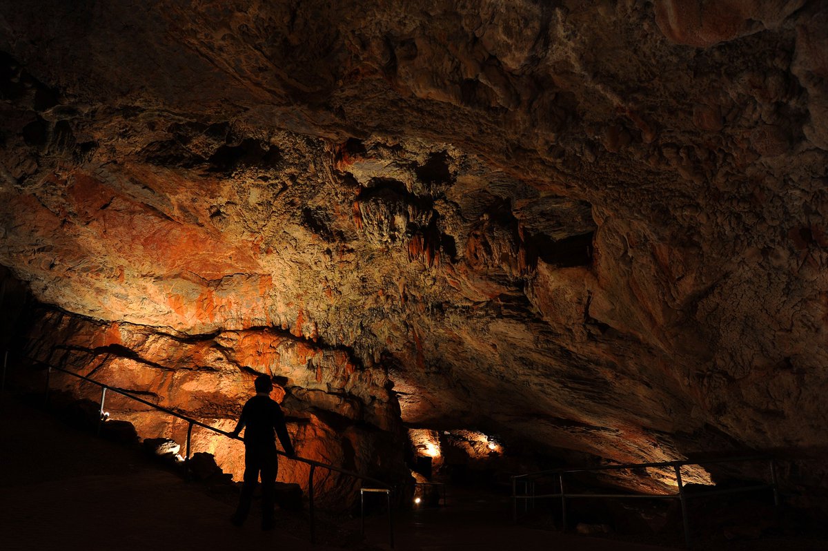 Kents_Cavern's tweet photo. This year is a BIG one for Kents Cavern! 🥳 In April, it will be the 120th year that tours have been run! On 23 April 1903, Francis Powe became the owner of what is now one of the most important prehistoric cave sites in Europe, recognised by UNESCO. https://t.co/eIT57NgSgH https://t.co/1CfNDJpI9V