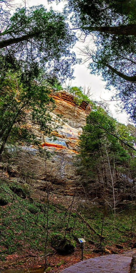 Martin_Crest's tweet photo. 𝘾𝙡𝙞𝙛𝙛𝙨 𝙛𝙧𝙤𝙢 𝘾𝙤𝙣𝙠𝙡𝙚'𝙨 𝙃𝙤𝙡𝙡𝙤𝙬 𝙩𝙧𝙖𝙞𝙡 (7 shot #vertorama), Conkle's Hollow State Nature Preserve #OH, December 2017 - for #VerticalSaturday, Daily #PhotoTheme #Photography #PanoPhotos #ClickToExpand https://t.co/lSIQSB5gIC