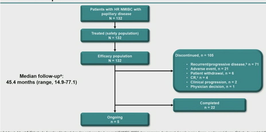 urotoday's tweet photo. Pembrolizumab monotherapy for pts with high-risk nonmuscle-invasive #BladderCancer unresponsive to BCG: Results from cohort B of the phase 2 #KEYNOTE057 trial. Presented by @AndreaNecchi @SanRaffaeleMI. @ASCO #GU23 written coverage by @WallisCJD > https://t.co/j7oozIUcLt https://t.co/wgrmcNg3UT