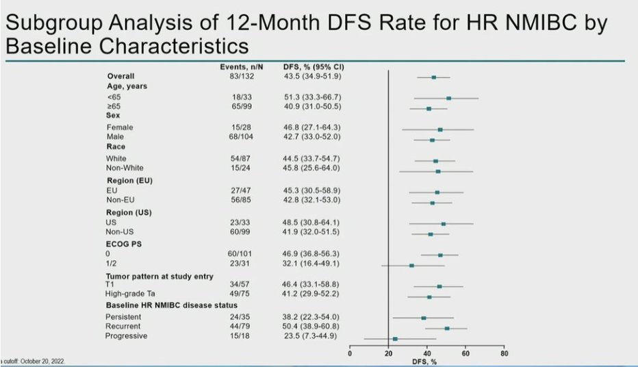urotoday's tweet photo. Pembrolizumab monotherapy for pts with high-risk nonmuscle-invasive #BladderCancer unresponsive to BCG: Results from cohort B of the phase 2 #KEYNOTE057 trial. Presented by @AndreaNecchi @SanRaffaeleMI. @ASCO #GU23 written coverage by @WallisCJD > https://t.co/j7oozIUcLt https://t.co/wgrmcNg3UT
