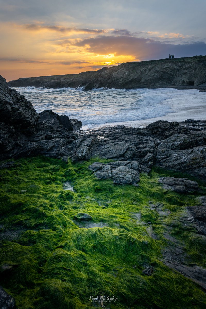 Sunset at Tower Bay

<a href="/the_full_irish_/">The Full Irish 🇮🇪</a> <a href="/deric_tv/">Deric</a> <a href="/the_full_irish_/">The Full Irish 🇮🇪</a>