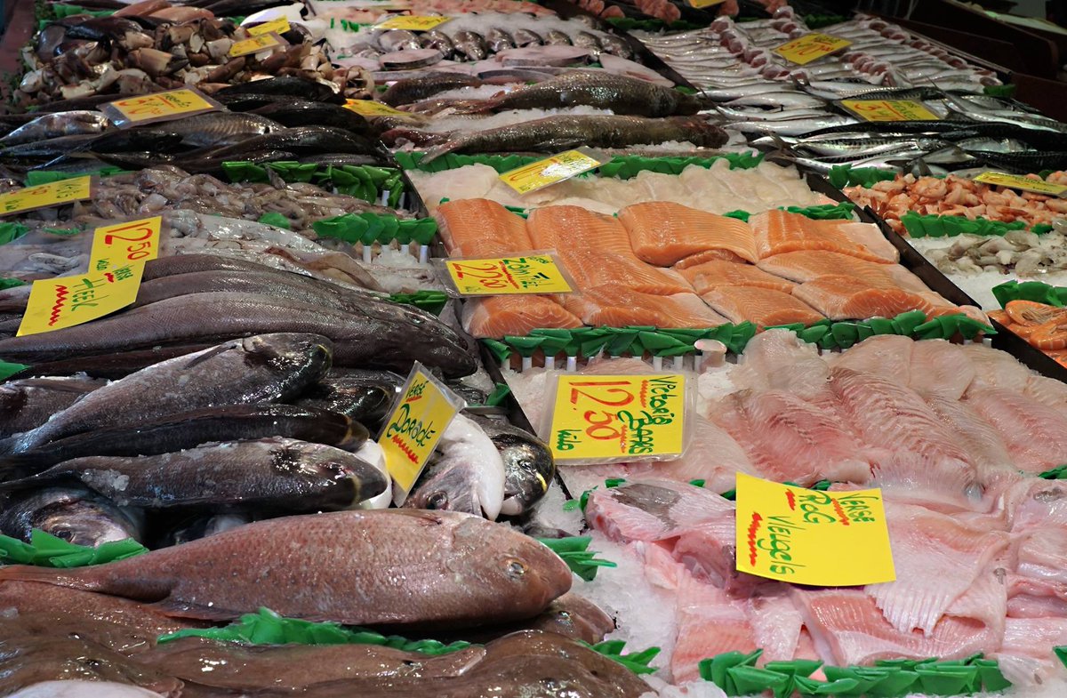 AlbertVCU's tweet photo. 6 Viskramen op een rij met 4 rijen mensen in Leiden #VerseVis #Leiden #Visserij https://t.co/7HhM9gZI2R