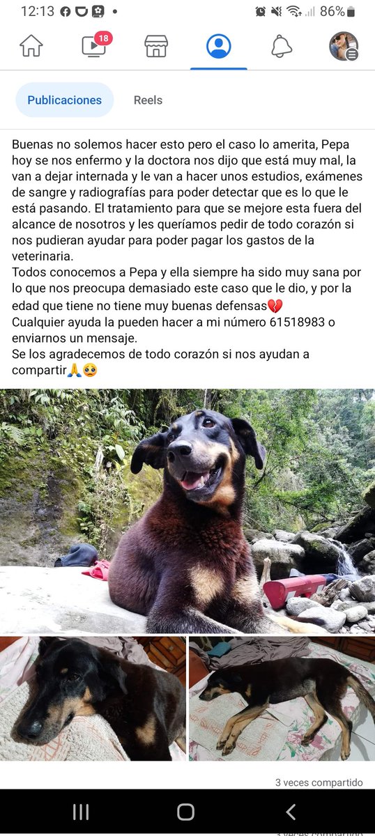 🙏💔